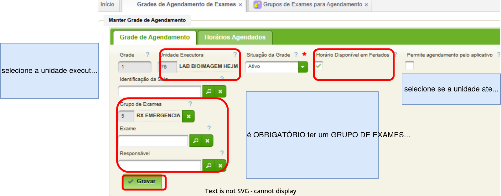 exames-diagrama-007.png