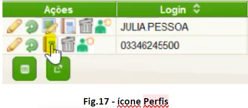 fig17_-_icone_perfis.jpg