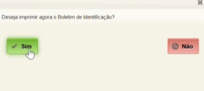 fig63_cadastro_paciente_boletim-identificacao.jpg