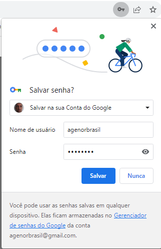 como ver a senha da sua conta do google 